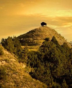 Return to the Badlands 08