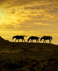 Return to the Badlands 09