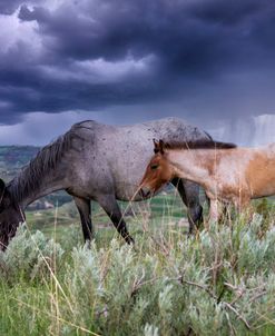 Return to the Badlands 05