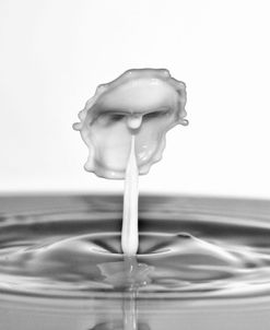 Milk Splash 6254