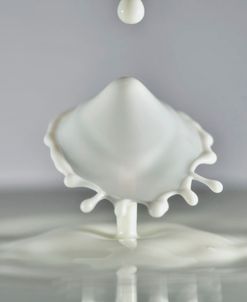 Milk Splash 6939