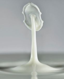 Milk Splash 6973