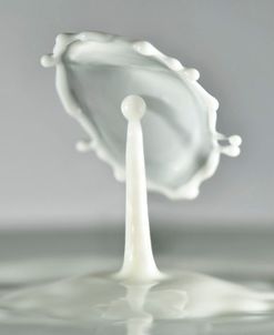 Milk Splash 6995