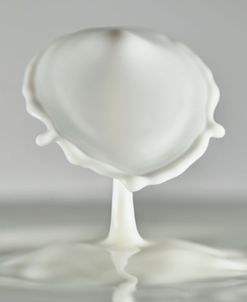 Milk Splash 7005