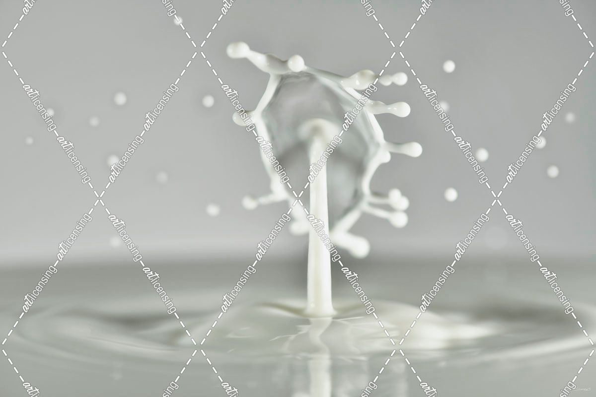 Milk Splash 7008