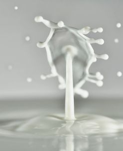 Milk Splash 7008