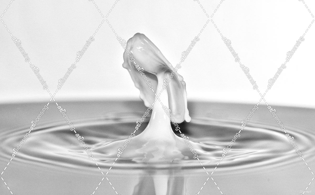 Milk Splash 6305