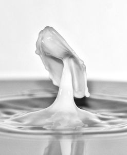 Milk Splash 6305