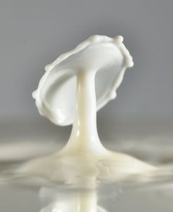 Milk Splash 7236