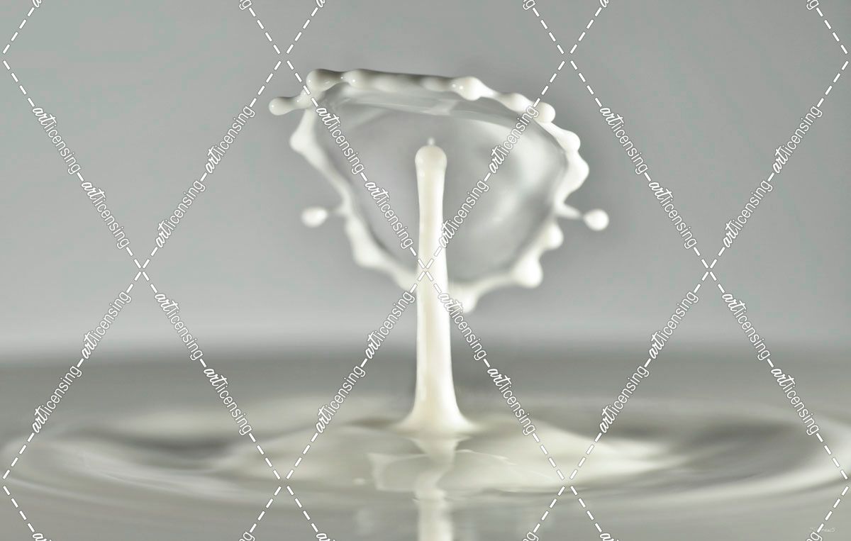 Milk Splash 7013