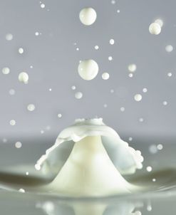 Milk Splash 7188