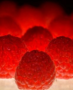 Fruit Macros_13