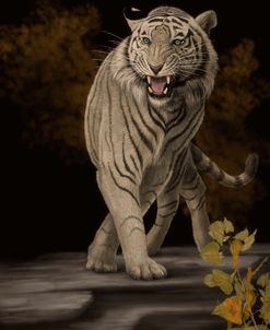 White Bengal Tiger