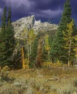 Return to the Grand Tetons 12