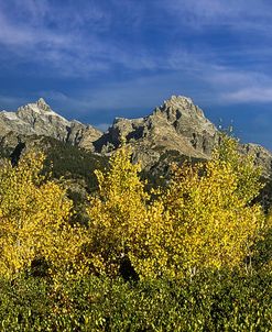 Return to the Grand Tetons 13