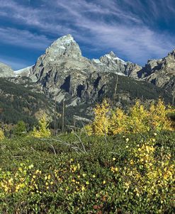 Return to the Grand Tetons 14