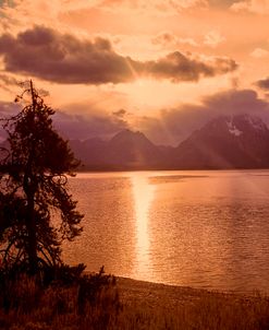 Return to the Grand Tetons 18