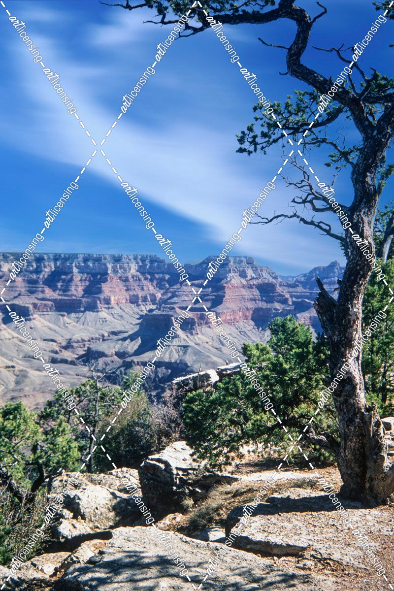Grand Canyon National Park 03