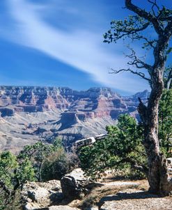 Grand Canyon National Park 03
