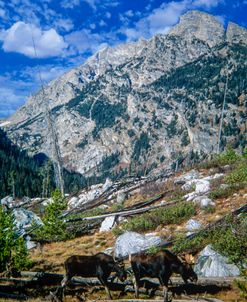 Grand Tetons National Park 01