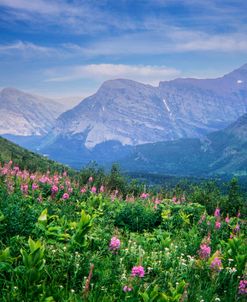 Glacier National Park 04