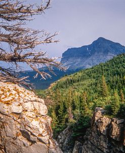 Glacier National Park 05