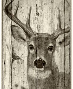 Woodgrain Antiques-Whitetail Buck