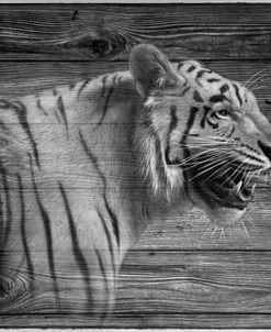 Woodgrain Antiques Tiger 01