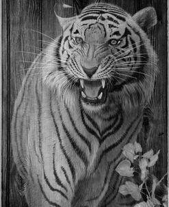 Woodgrain Antiques Tiger 02