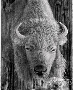 Woodgrain Antiques White Buffalo