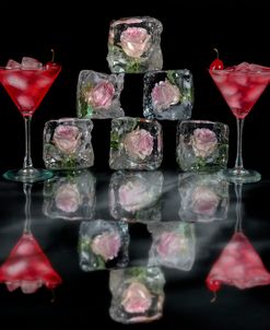 Rose On The Rocks 10