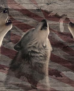 Woodgrain Antiques Wolves USA