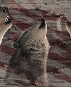 Woodgrain Antiques Wolves USA