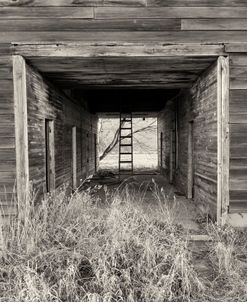 Lost Farmstead on the Prairie 024