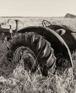 Lost Farmstead on the Prairie 026