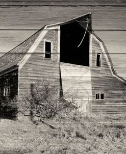 Lost Farmstead on the Prairie 027