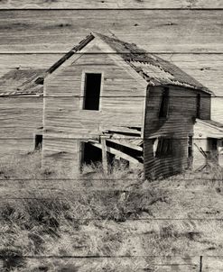 Lost Farmstead on the Prairie 032