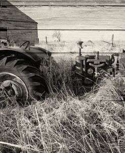 Lost Farmstead on the Prairie 029