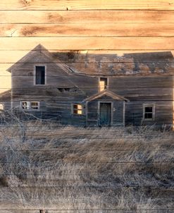 Lost Farmstead on the Prairie 046