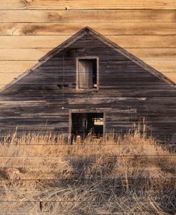 Lost Farmstead on the Prairie 047