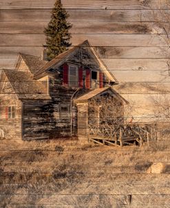 Lost Farmstead on the Prairie 049