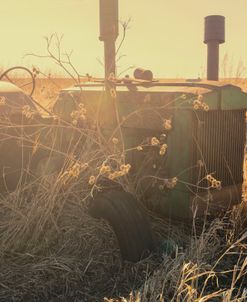 Lost Farmstead on the Prairie 041