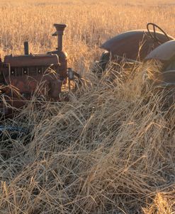 Lost Farmstead on the Prairie 042
