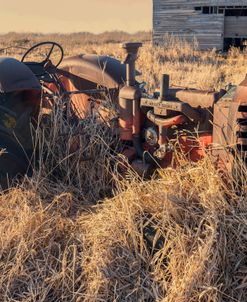 Lost Farmstead on the Prairie 043