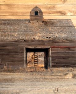 Lost Farmstead on the Prairie 044