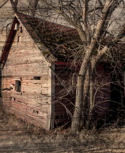 Lost Farmstead on the Prairie 058