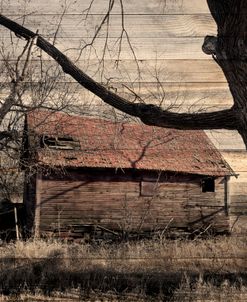 Lost Farmstead on the Prairie 059