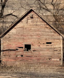 Lost Farmstead on the Prairie 060