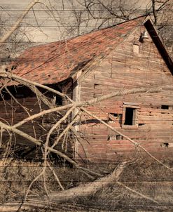 Lost Farmstead on the Prairie 061