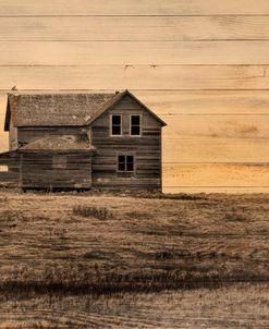 Lost Farmstead on the Prairie 075